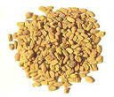 The Many Health Benefits Of Fenugreek