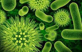 The Health Benefits Of Natural Antibiotics
