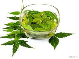 Make Your Own Neem Natural Insecticide