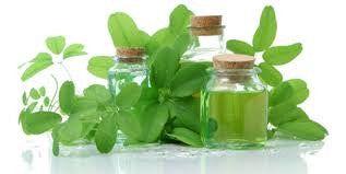 GREEN MEDICINE, the medicine of the past