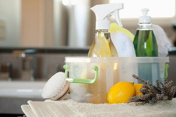 Dirty Little Household Secrets - Tips for a squeaky clean, green & healthy home