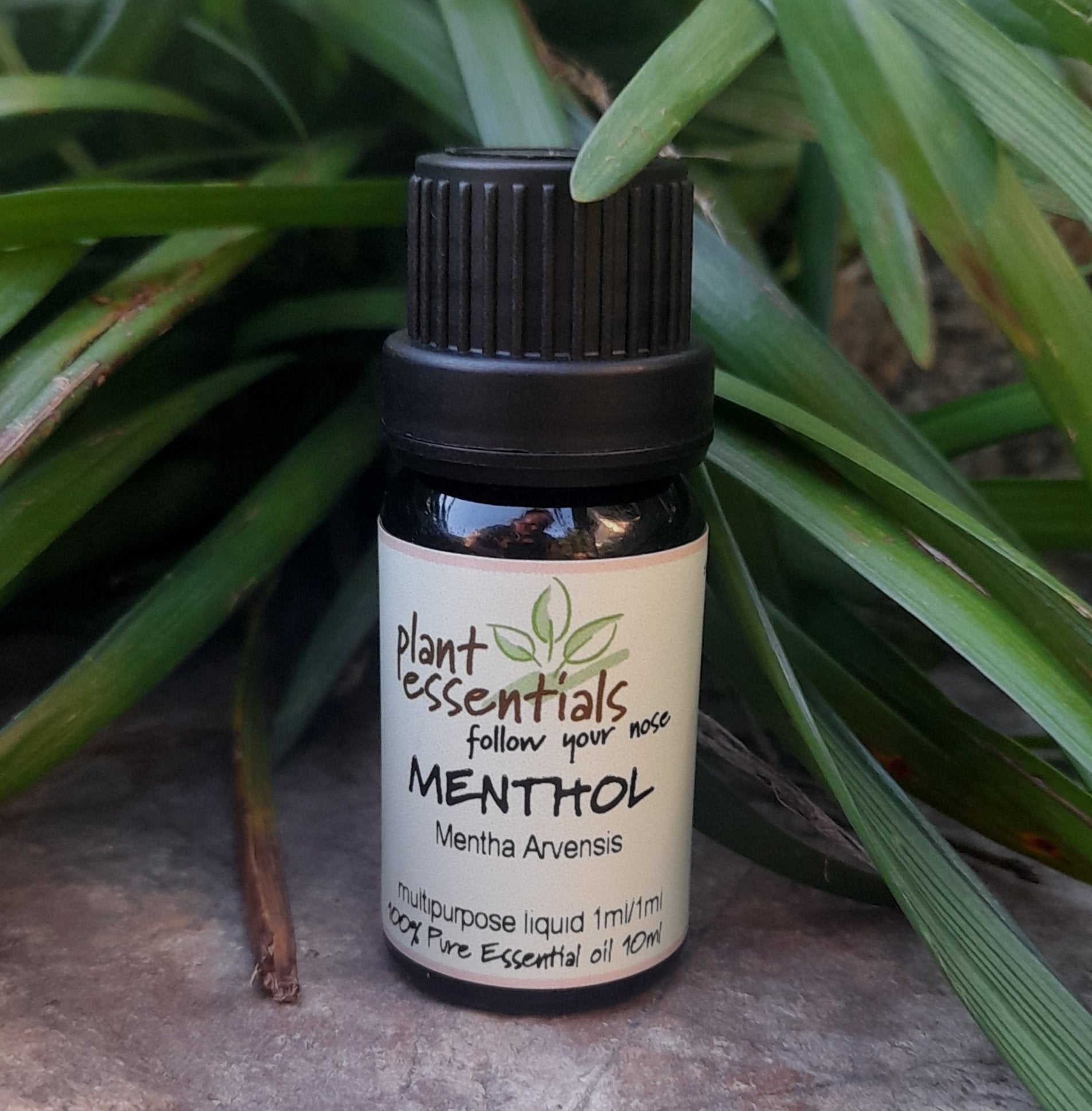 Menthol Essential Oil