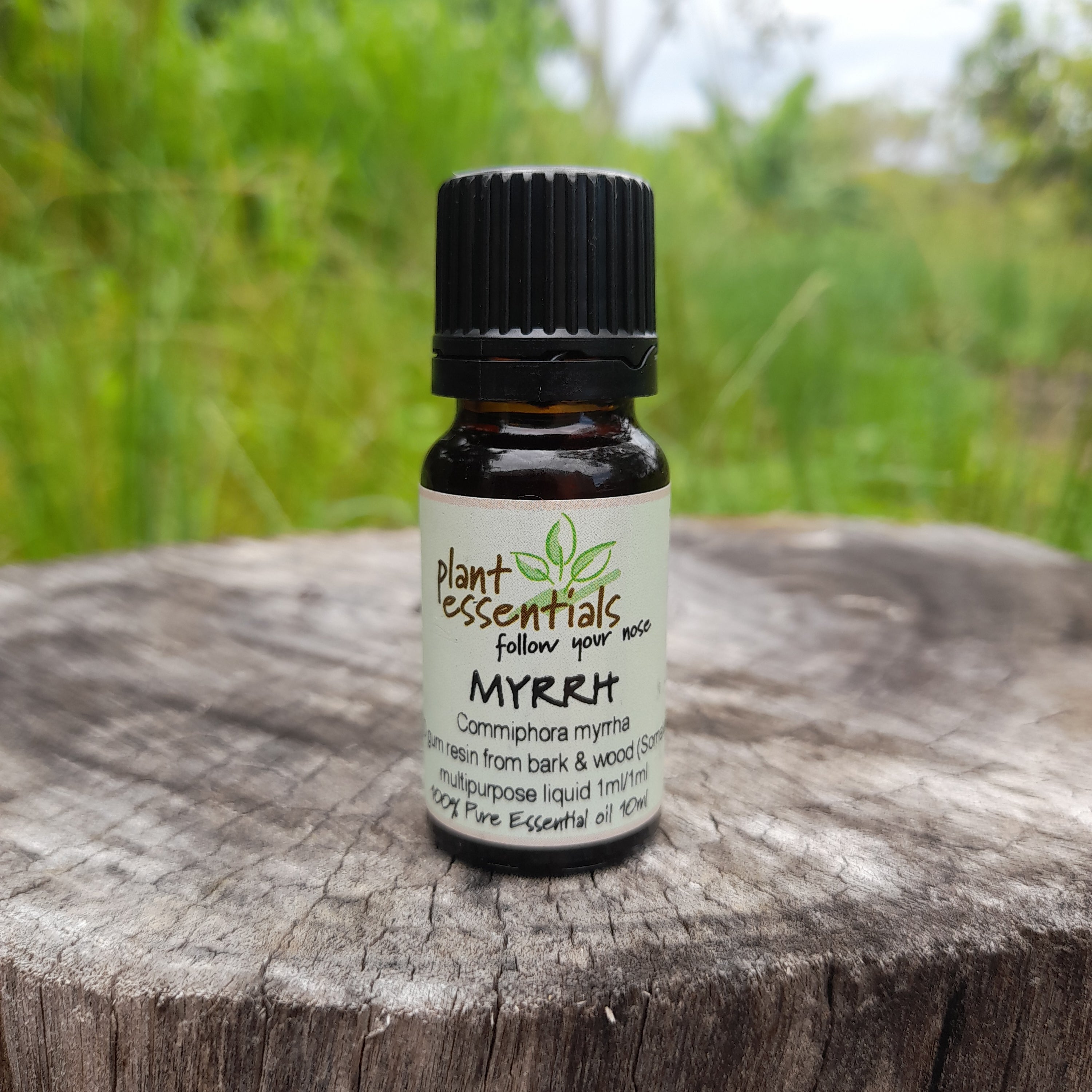 Myrrh Essential Oil