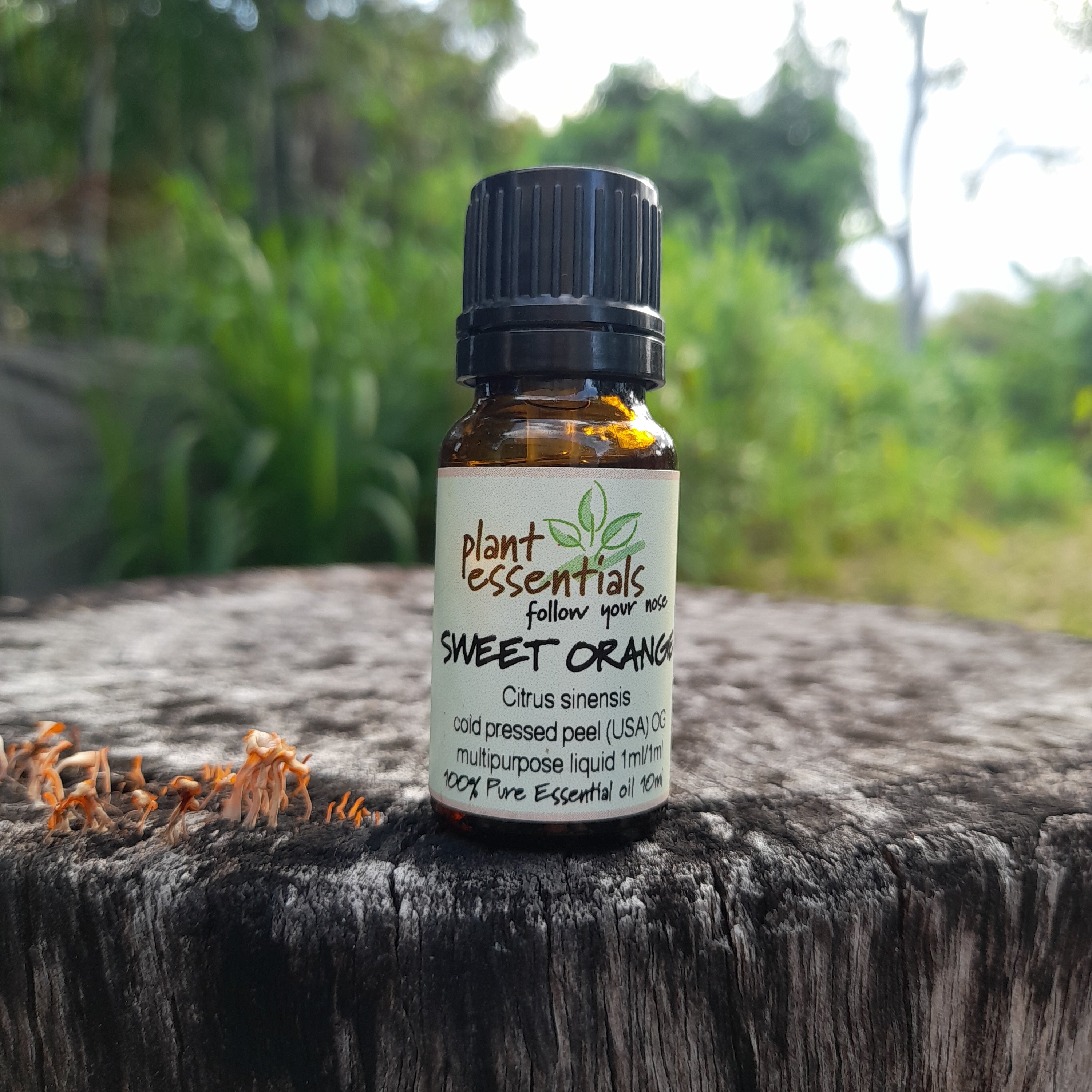 Orange, Sweet Essential Oil