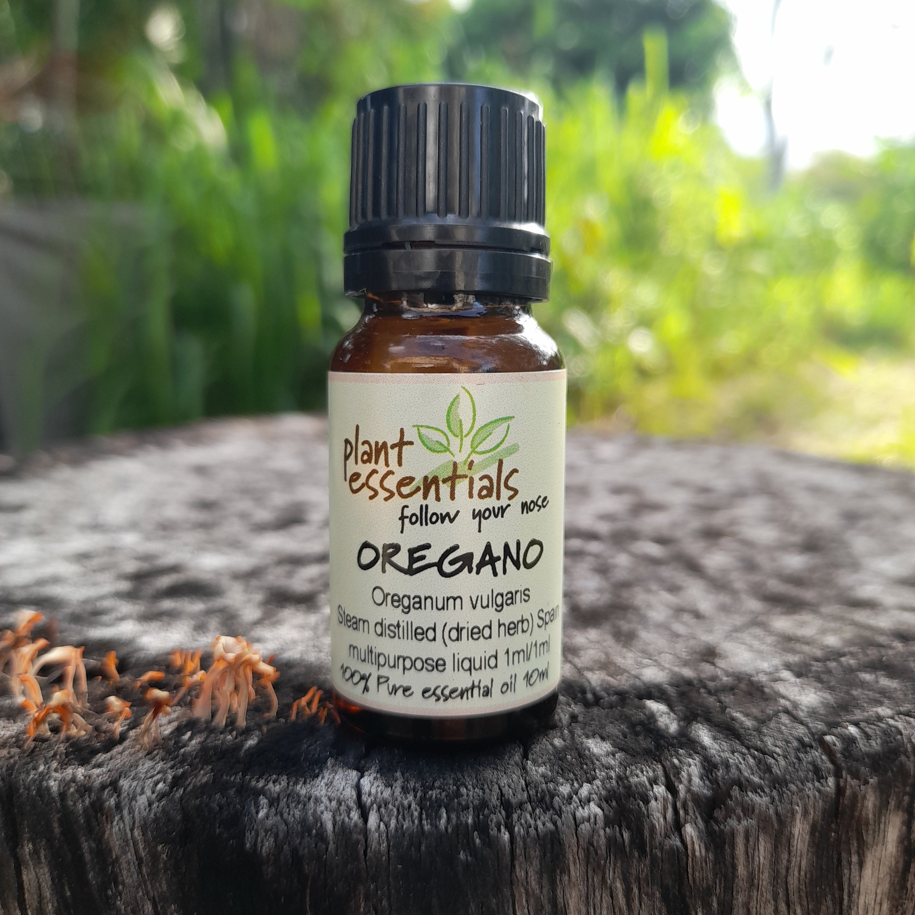 Oregano Essential Oil