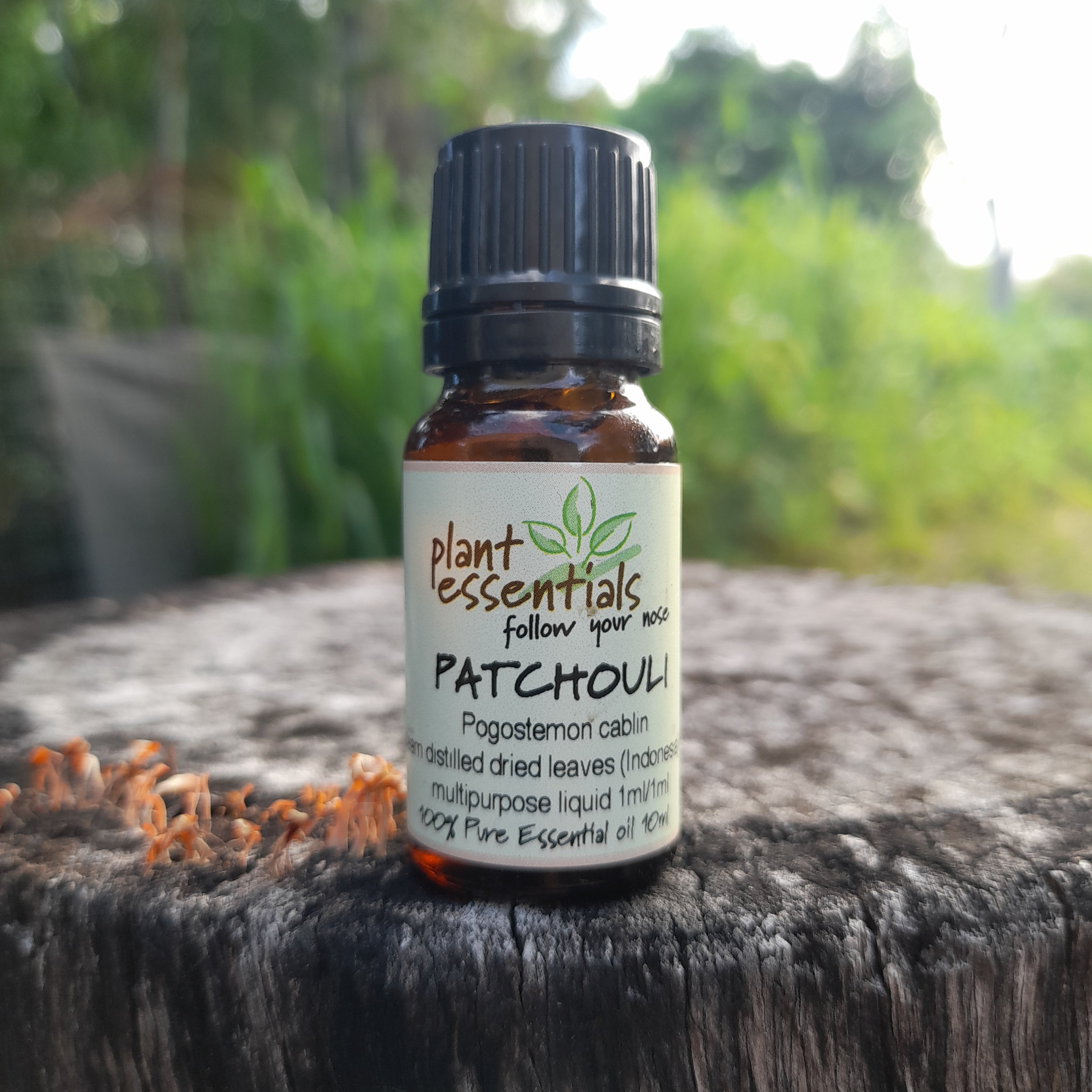 Patchouli Essential Oil