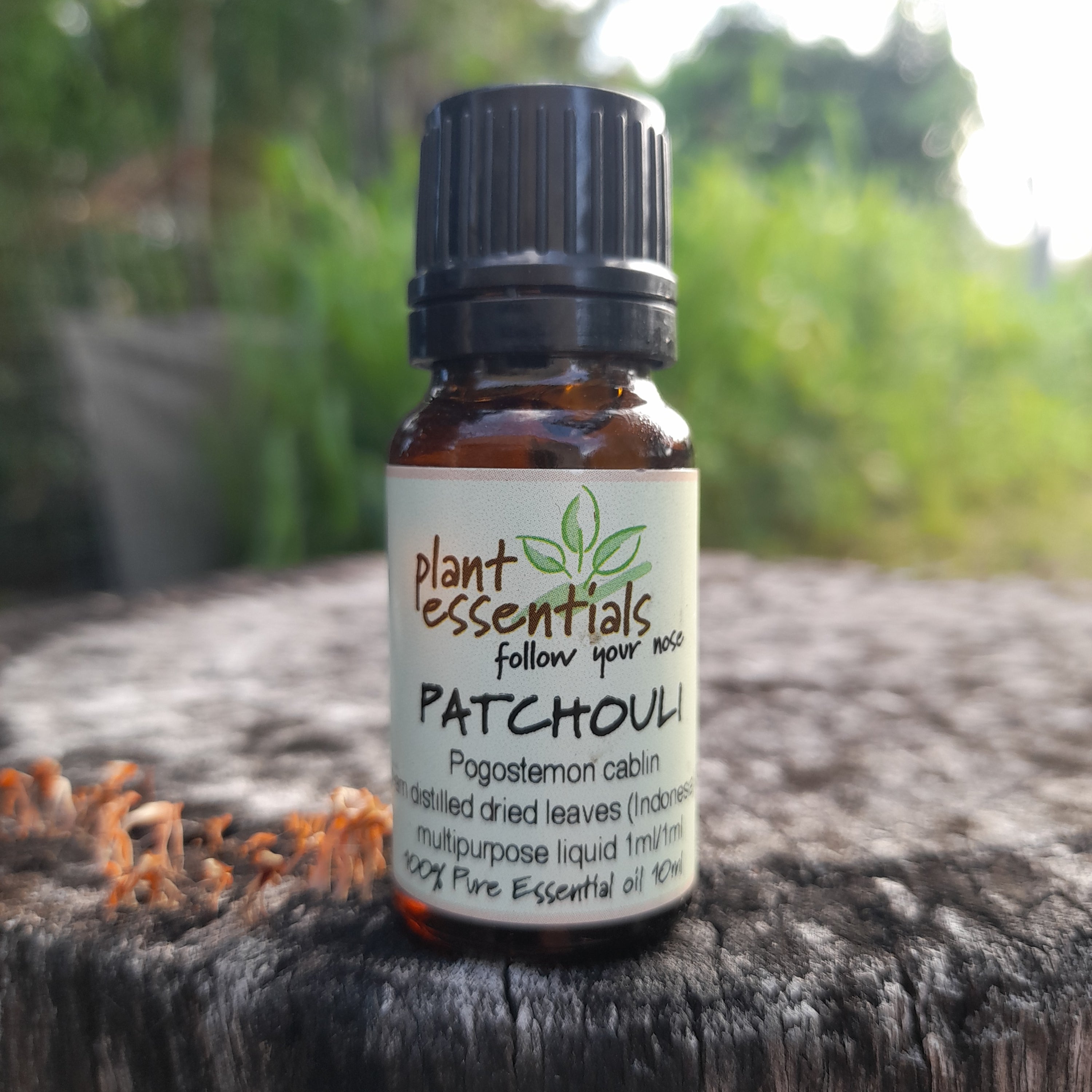 Patchouli Essential Oil