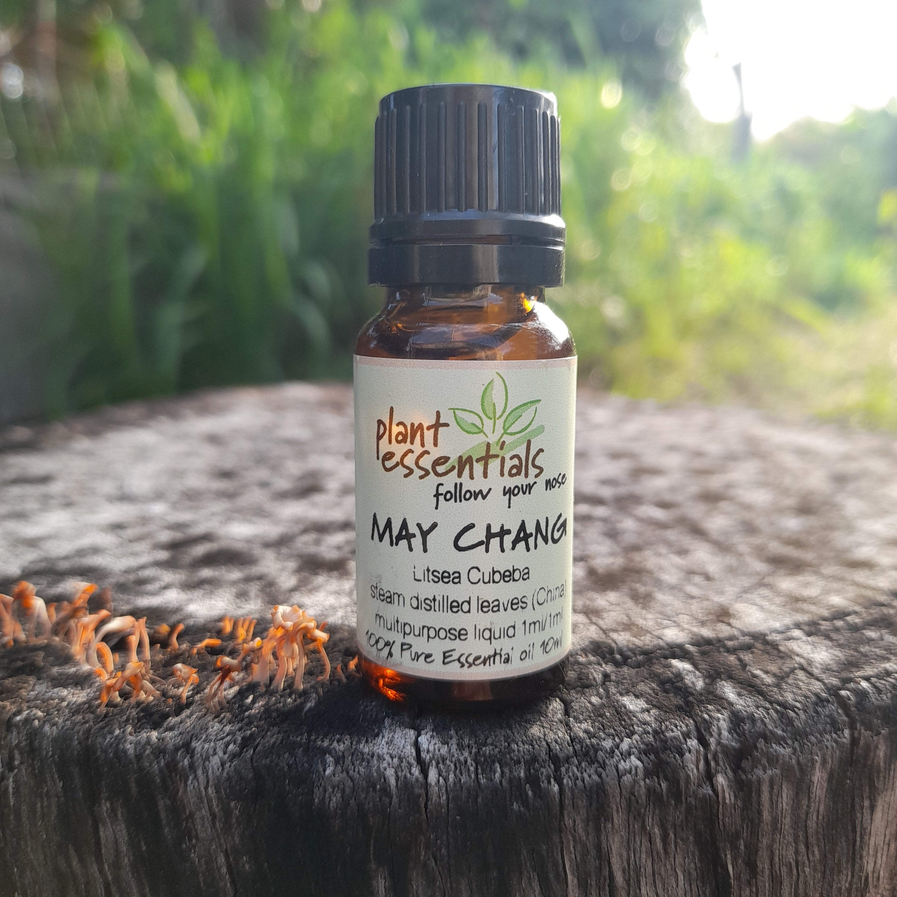 May Chang Essential Oil