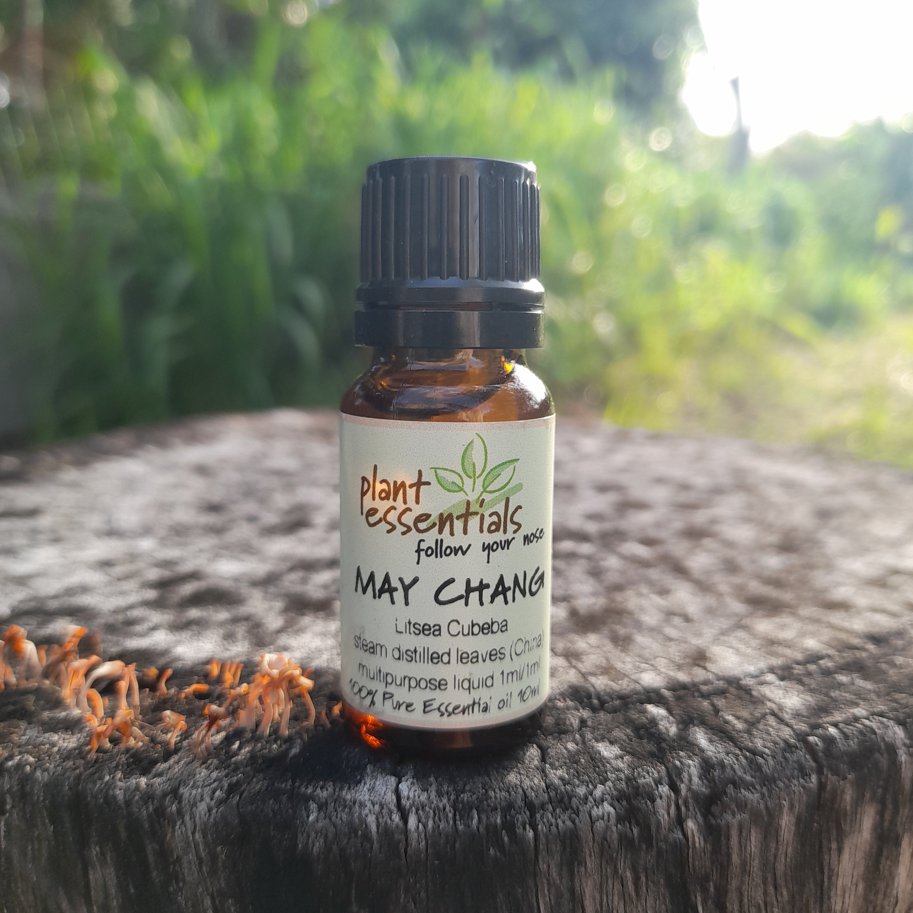 May Chang Essential Oil
