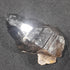 Mooralla Smokey Quartz Double Terminated - Australian