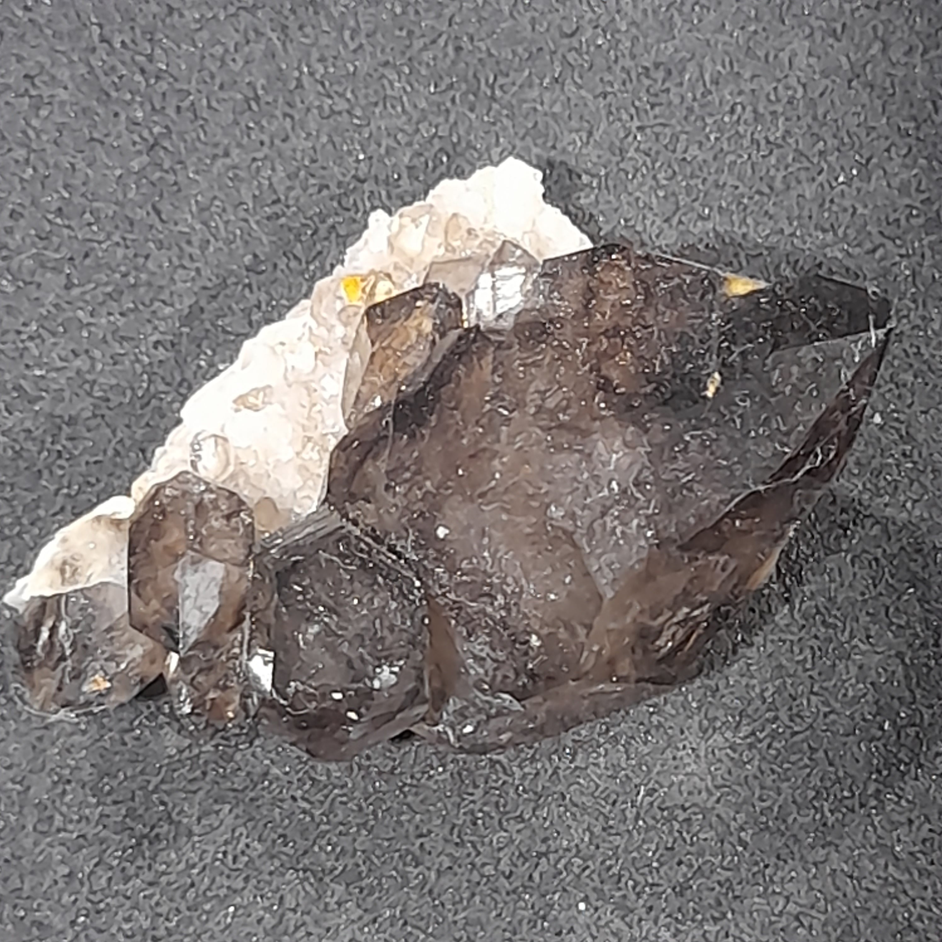 Mooralla Smokey Quartz Double Terminated - Australian