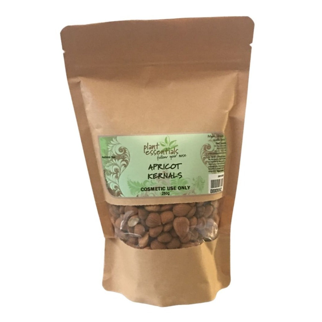 apricot seeds to plant Apricot Kernal Seeds ~ 250g ~ Plant Essentials