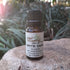 White Sage Essential Oil