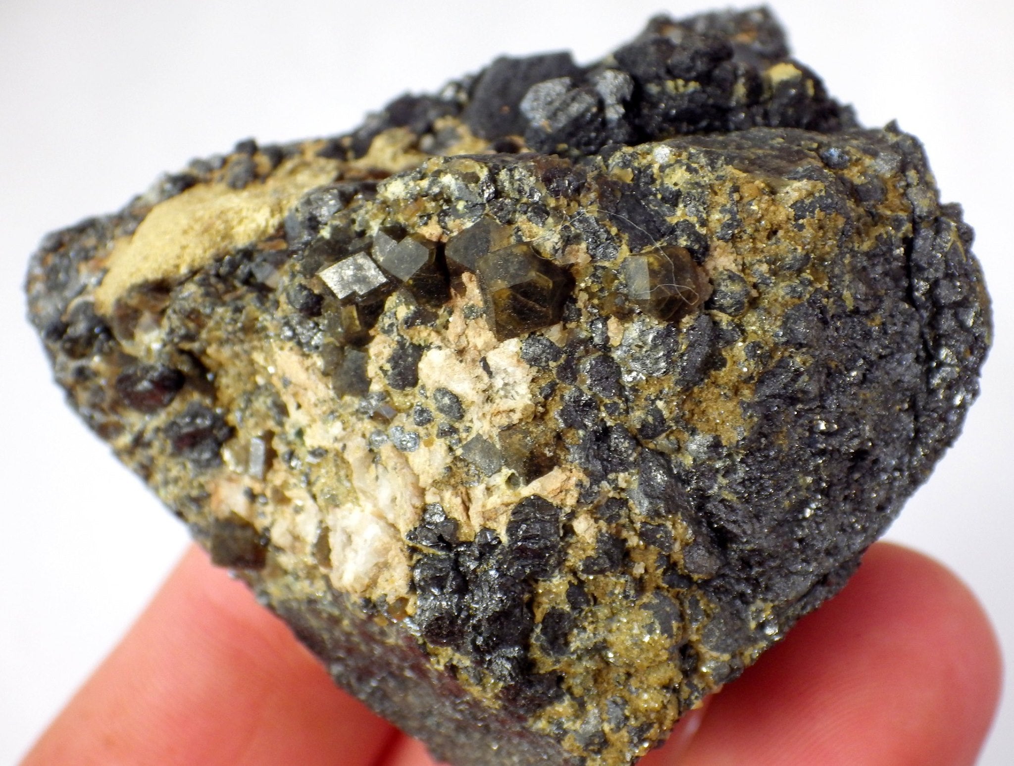 Andradite Garnet on Magnetite with Actinolite