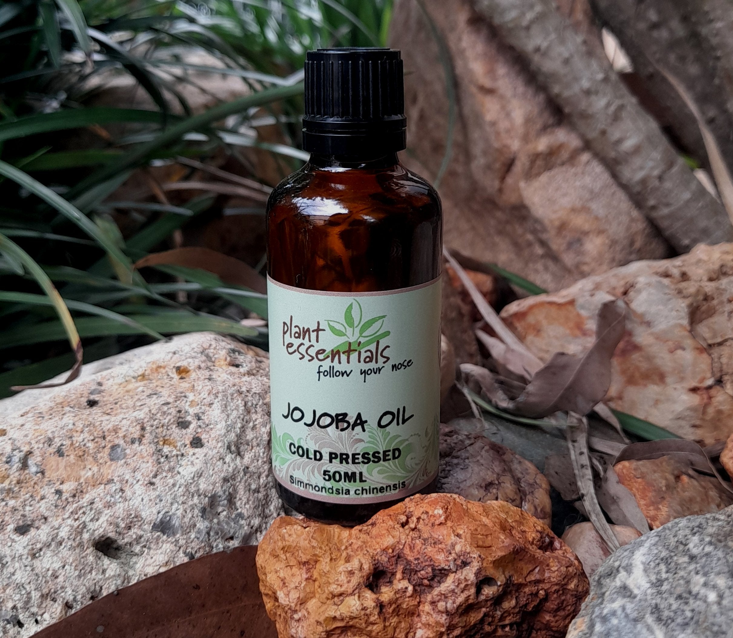 Jojoba Oil organically grown