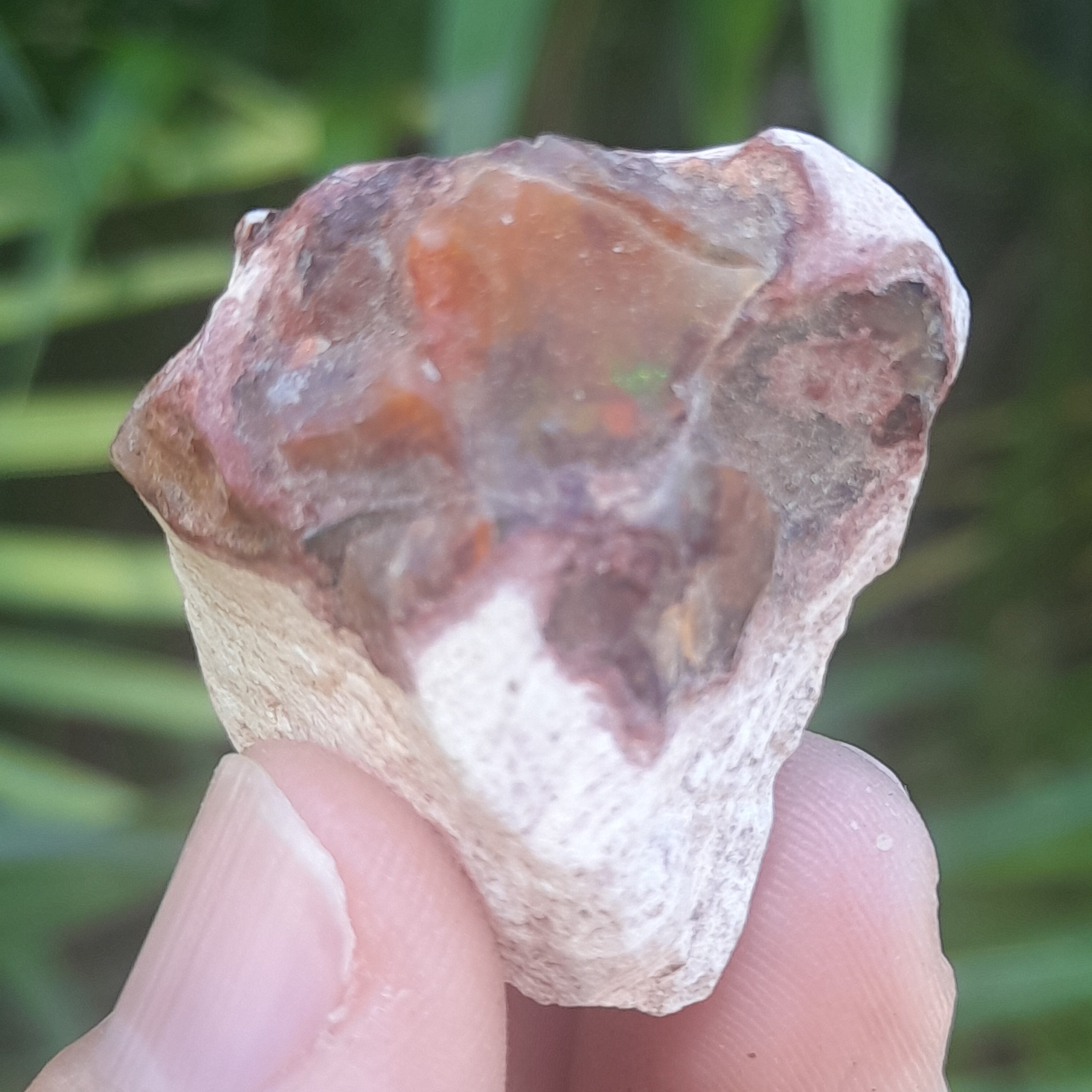 Mexican Fire Opal