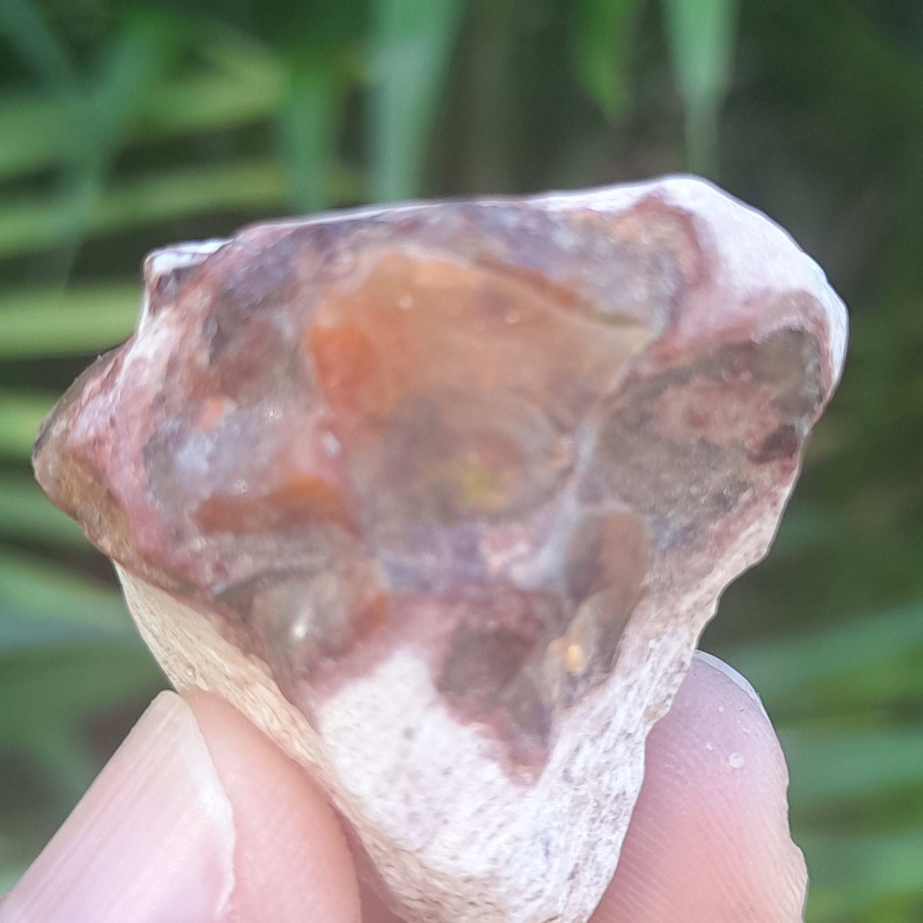 Mexican Fire Opal