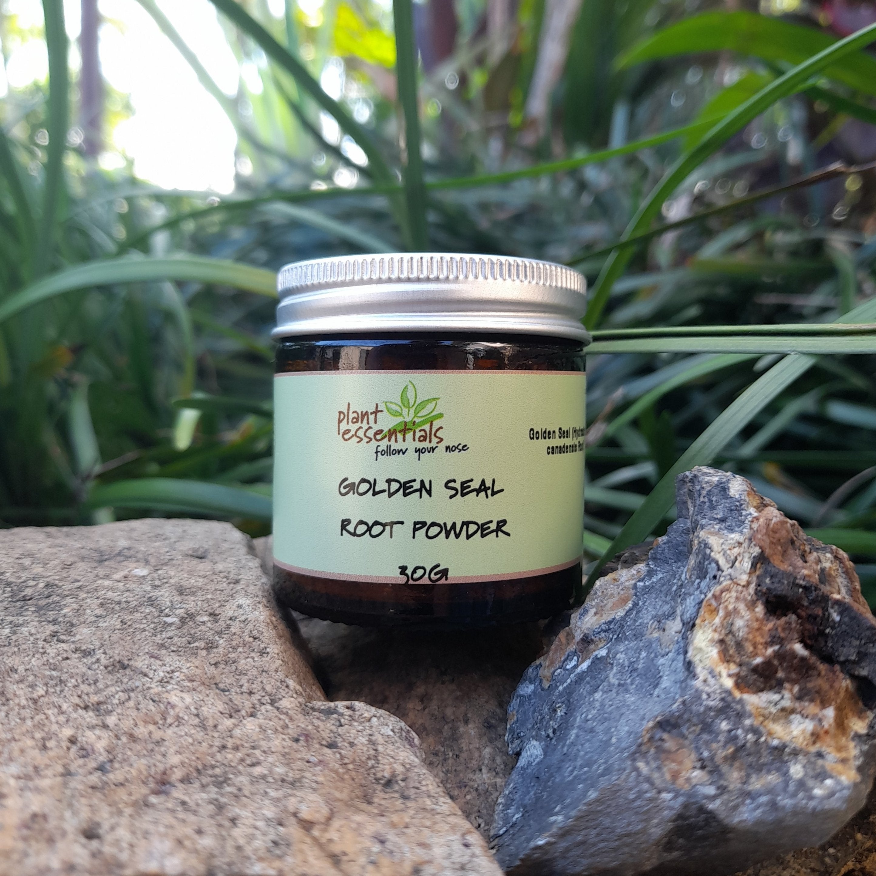 Golden Seal Root powder extract 20:1