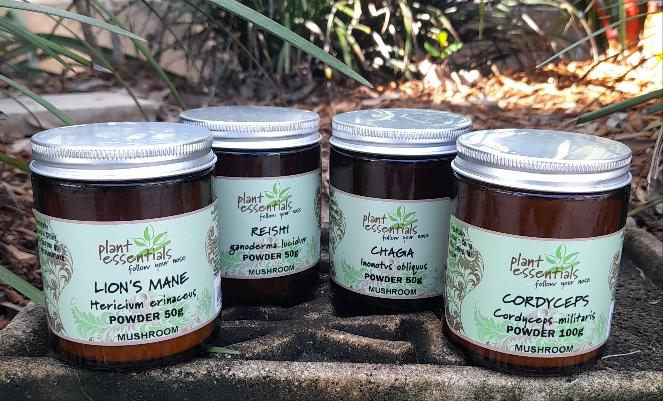 Lion's Mane Mushroom Powder 50g