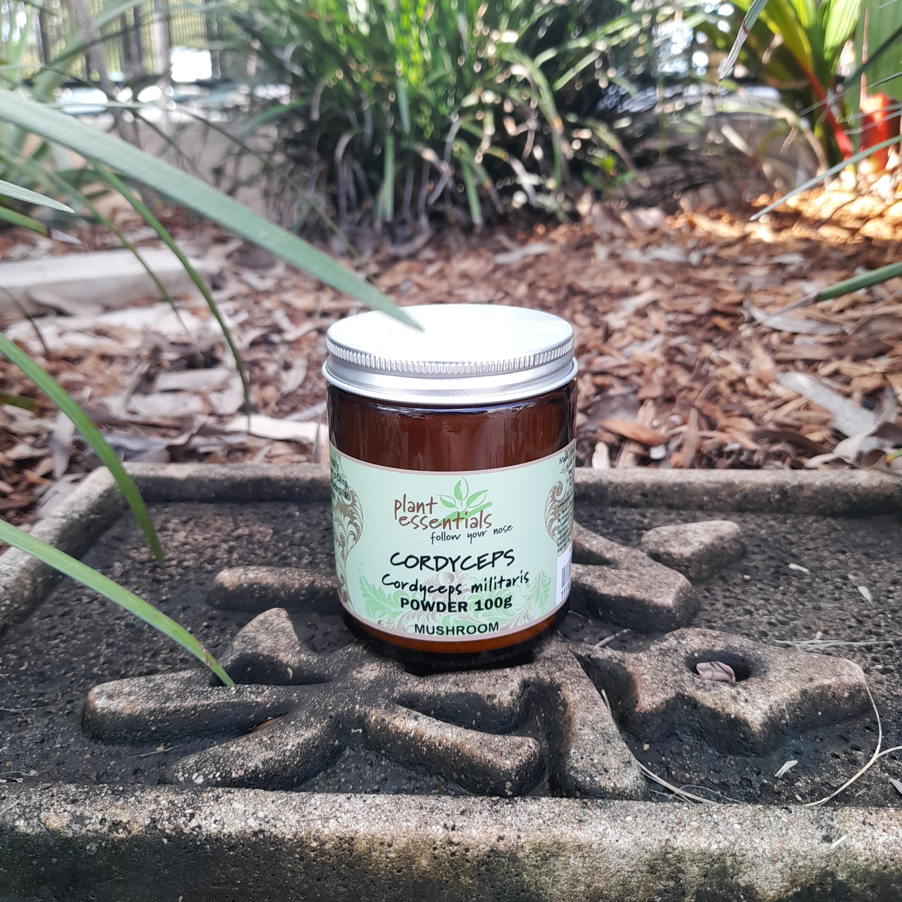 Lion's Mane Mushroom Powder 50g