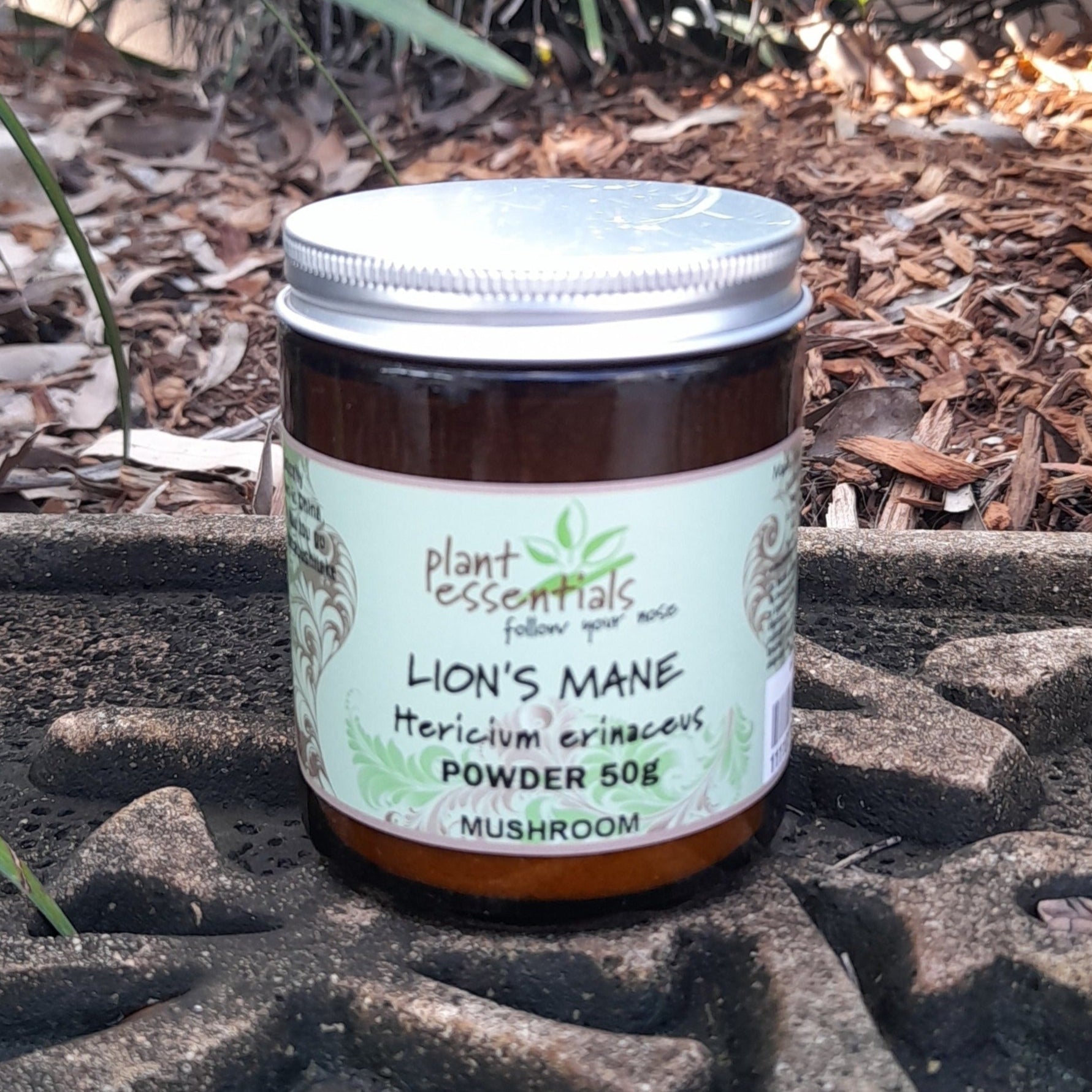 Lion's Mane Mushroom Powder 50g