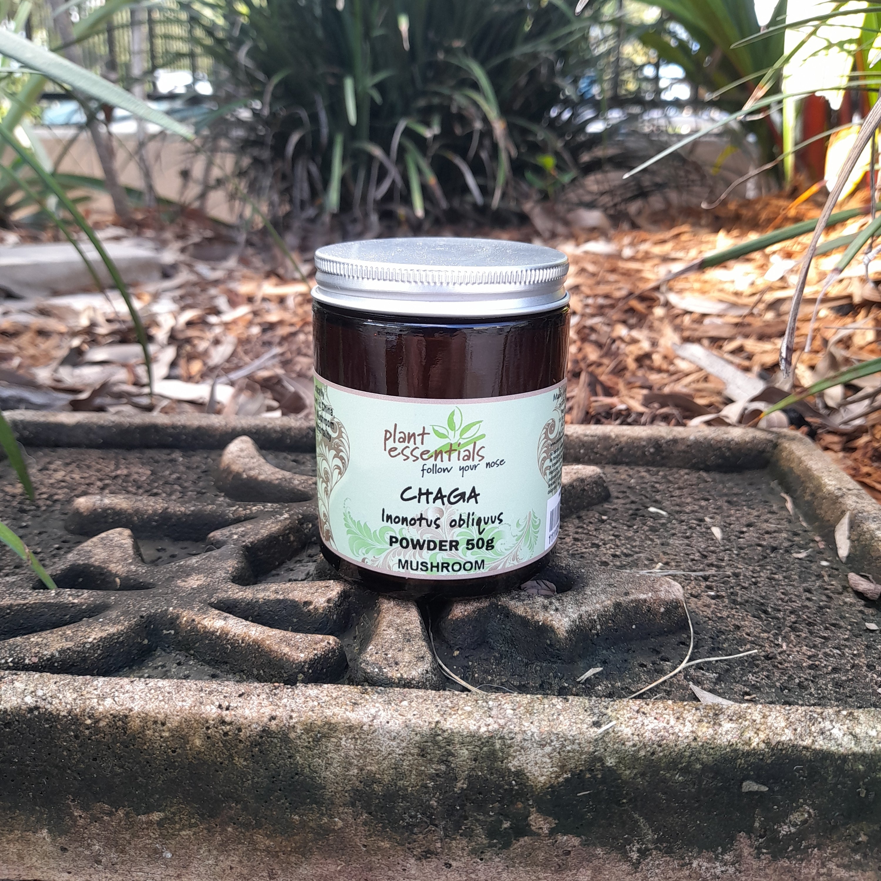 Lion's Mane Mushroom Powder 50g