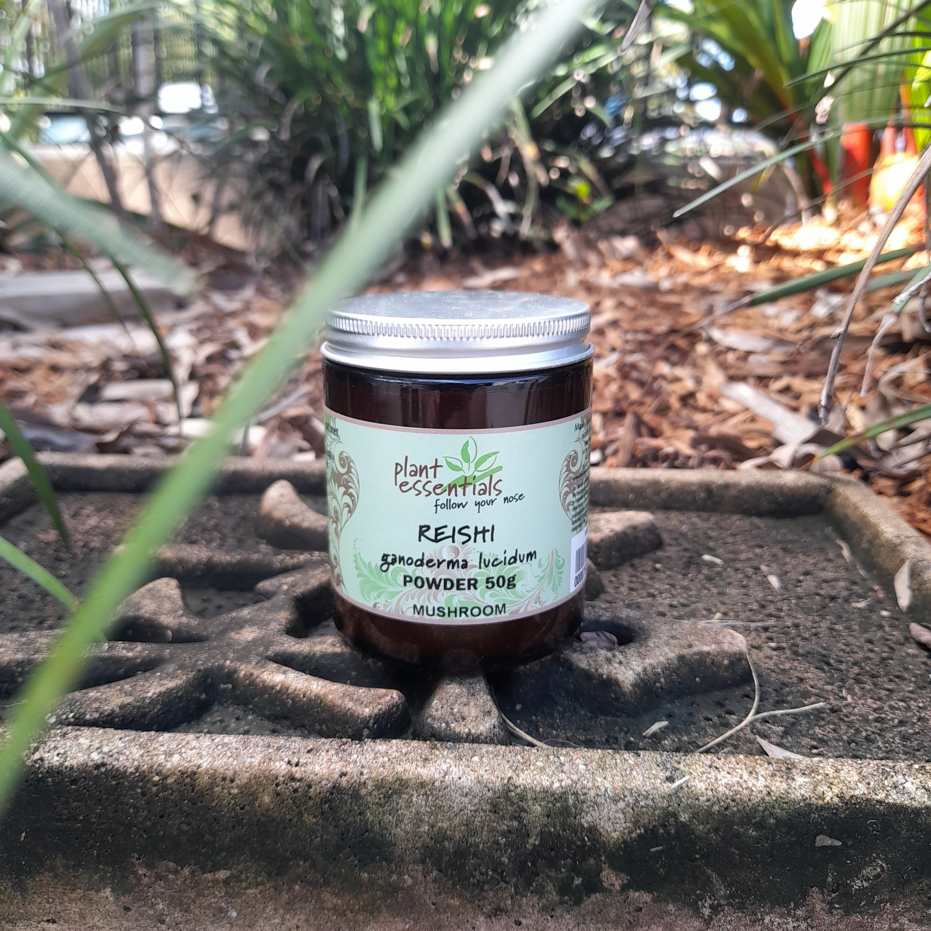 Lion's Mane Mushroom Powder 50g