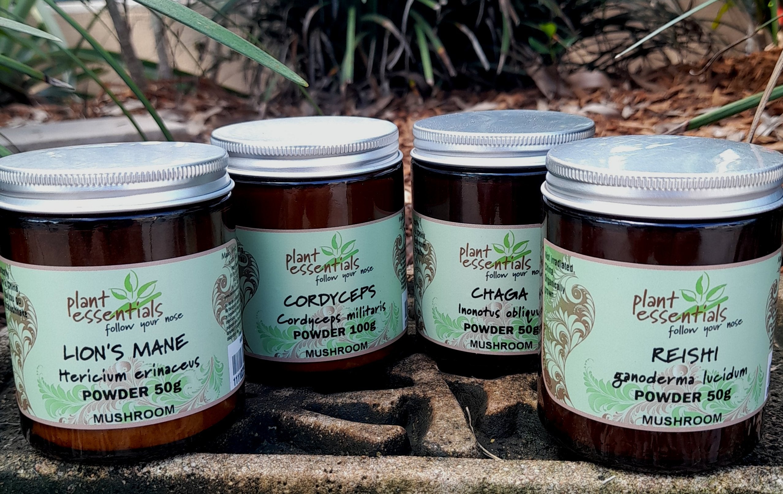 Lion's Mane Mushroom Powder 50g