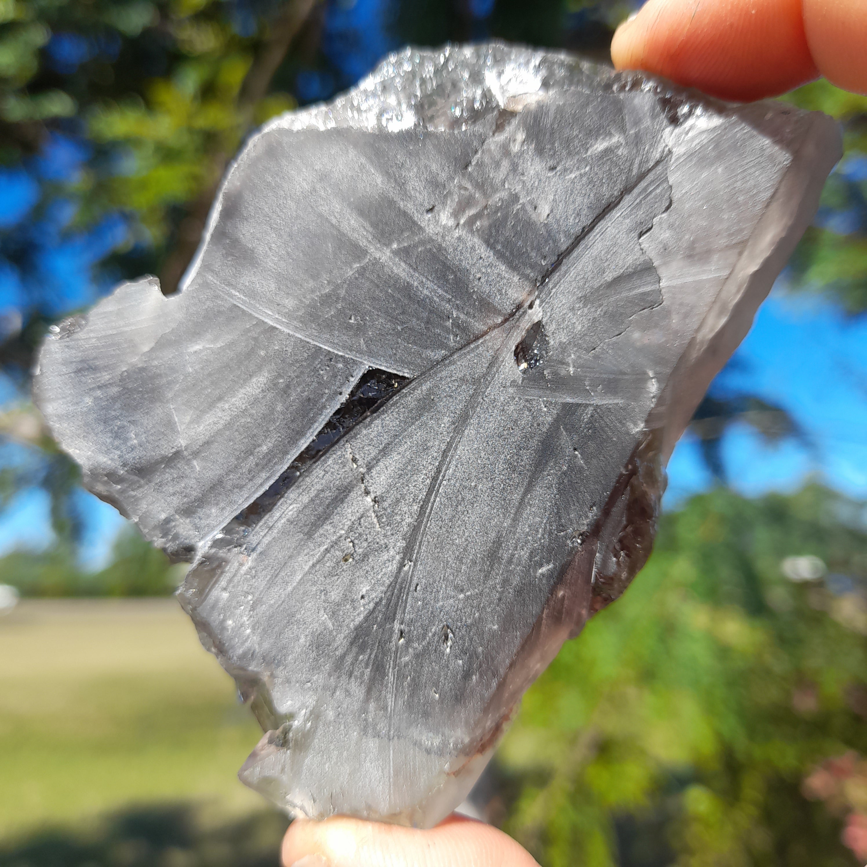 Lodalite ~ Half Polished