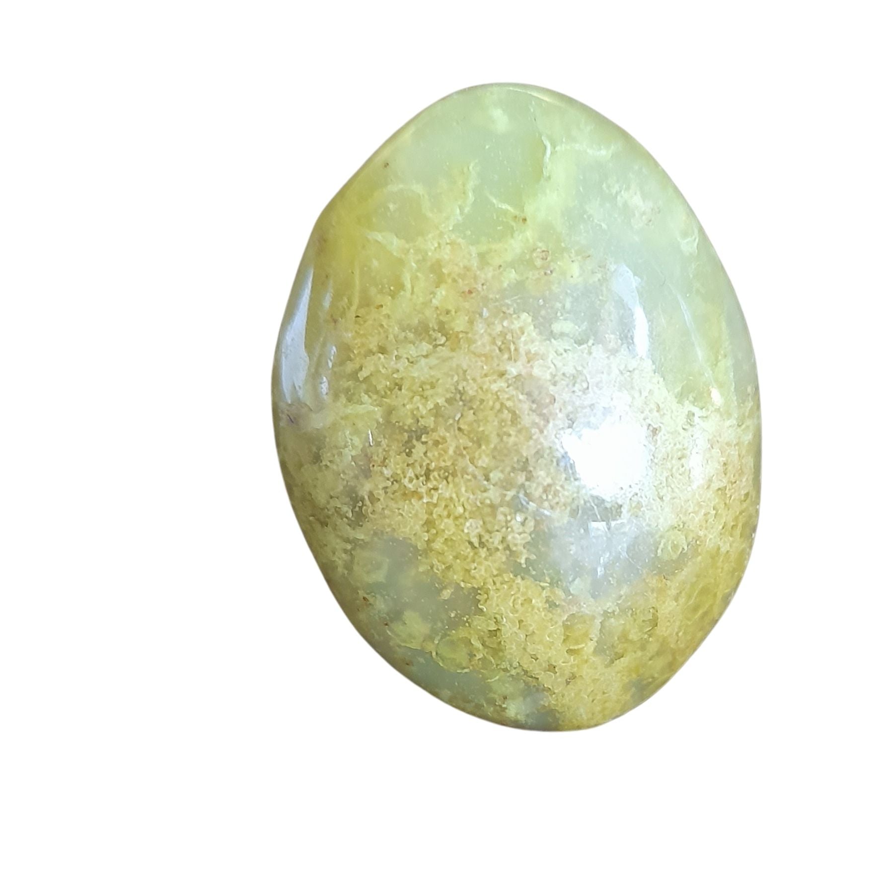 Kiwi Opal Media 1 of 1