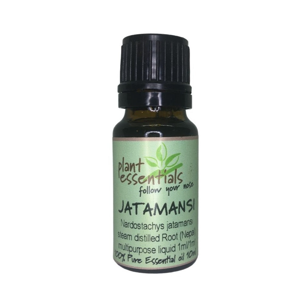 Jatamansi Essential Oil, Nardostachys jatamansi