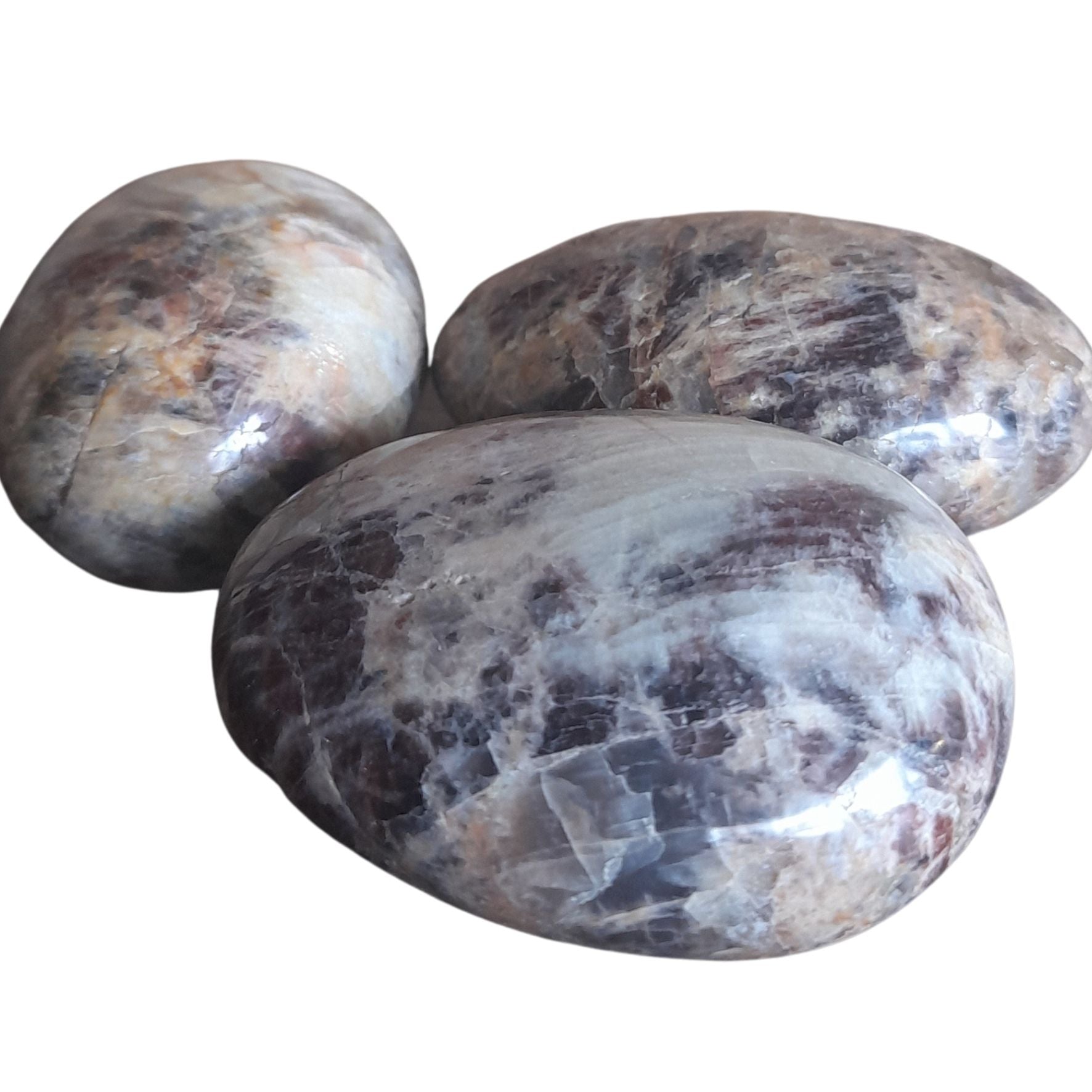 Jasper, Mada ~ Freeform Media 1 of 1