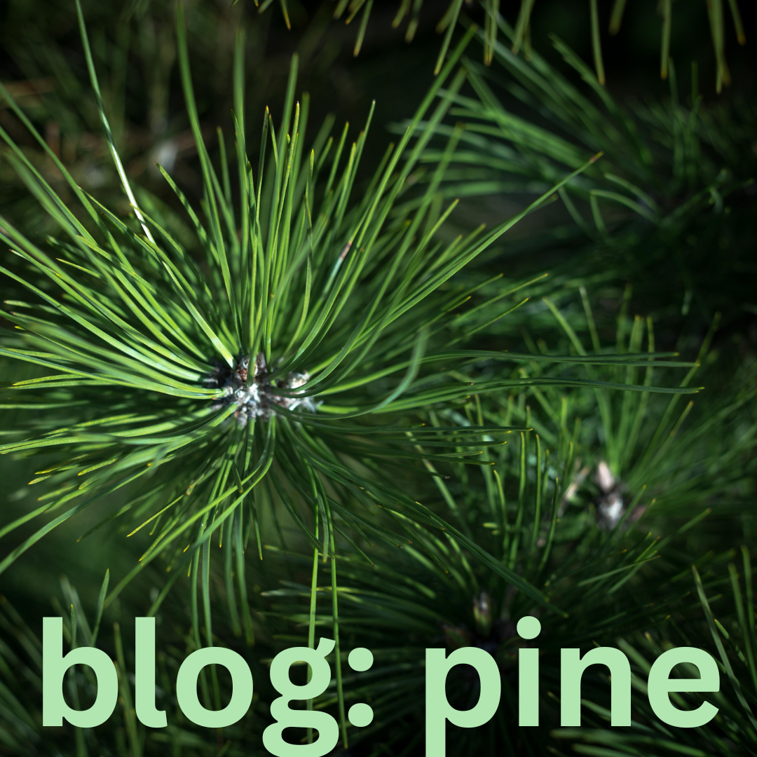 Pine