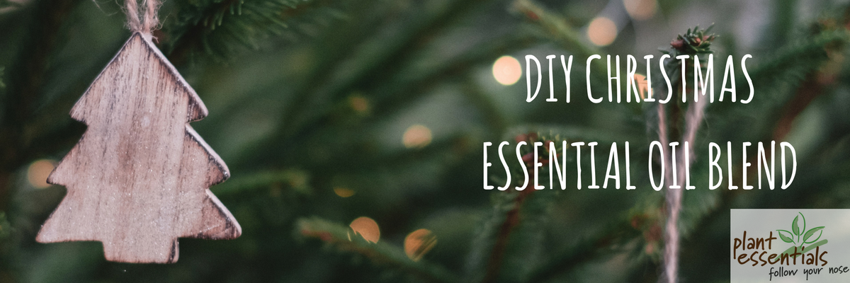 A Yummy Little Classic Christmas Essential Oil Blend for the Diffuser