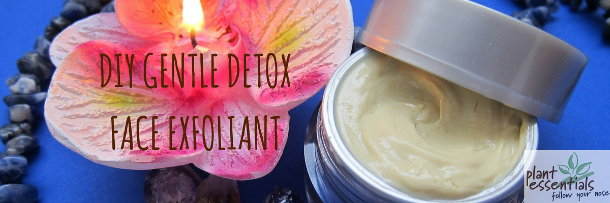 DIY Gentle Detox Face Exfoliant
