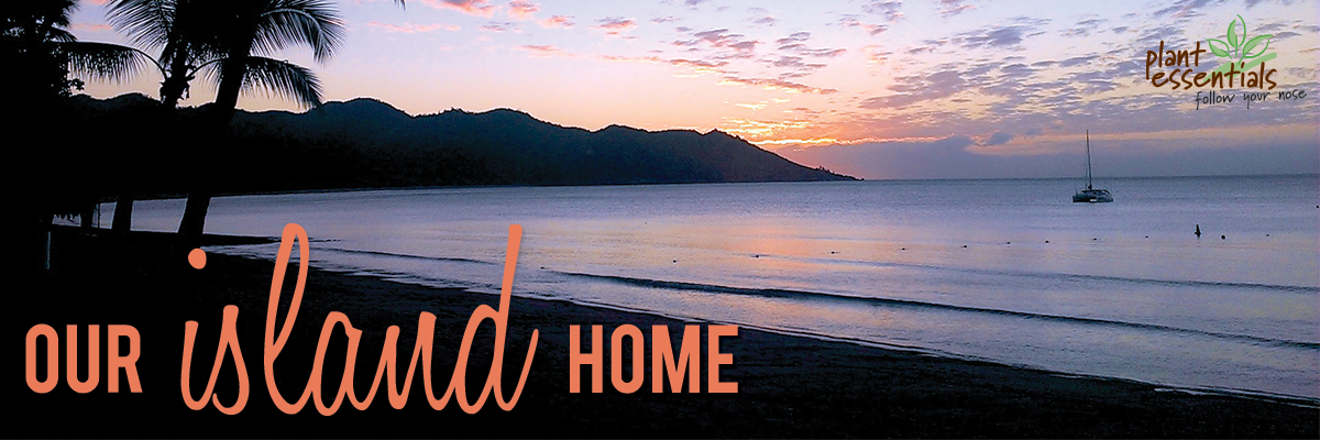 Plant Essentials lands on Magnetic Island