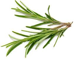 Natural Lice Busters