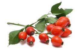 Rosehip Oil On The Skin