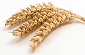 Essential Information Bites - some info on some delicious natural foods