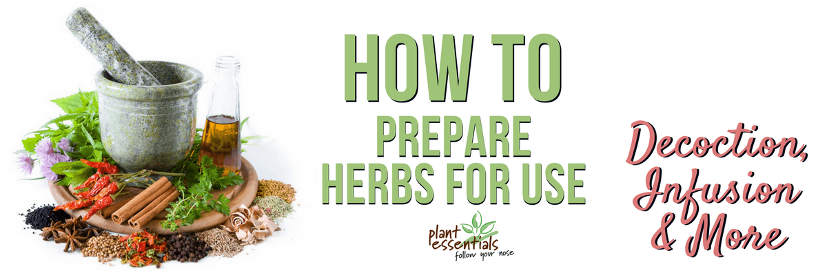 How to prepare herbs for use - Decoction, Infusion & more