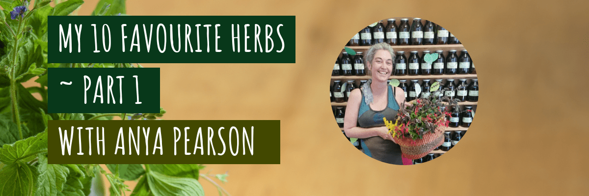 My 10 Favourite Herbs ~ part 1