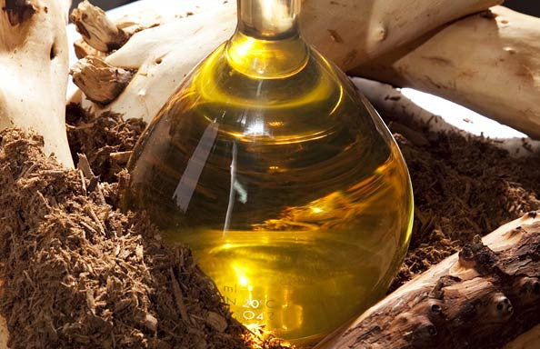 The Health Benefits And Uses Of Sandalwood Essential Oil