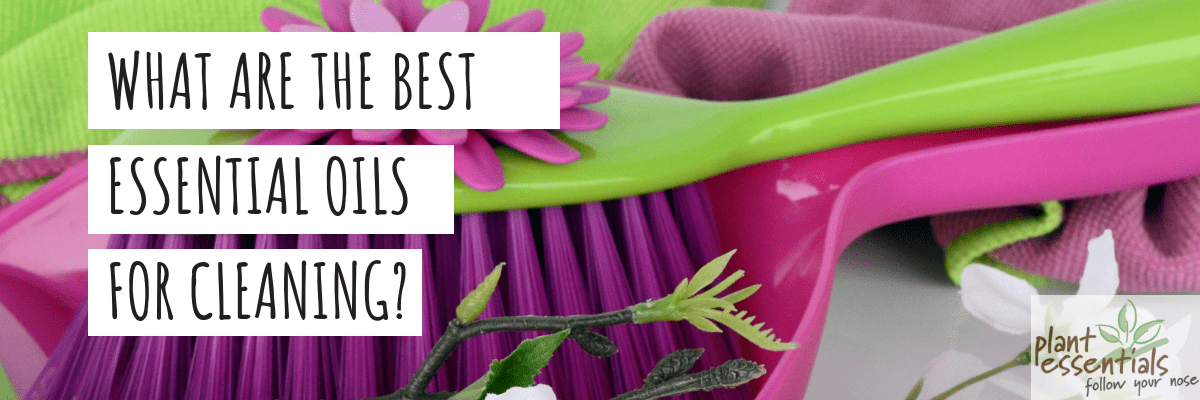 What Are The Best Essential Oils For Cleaning?
