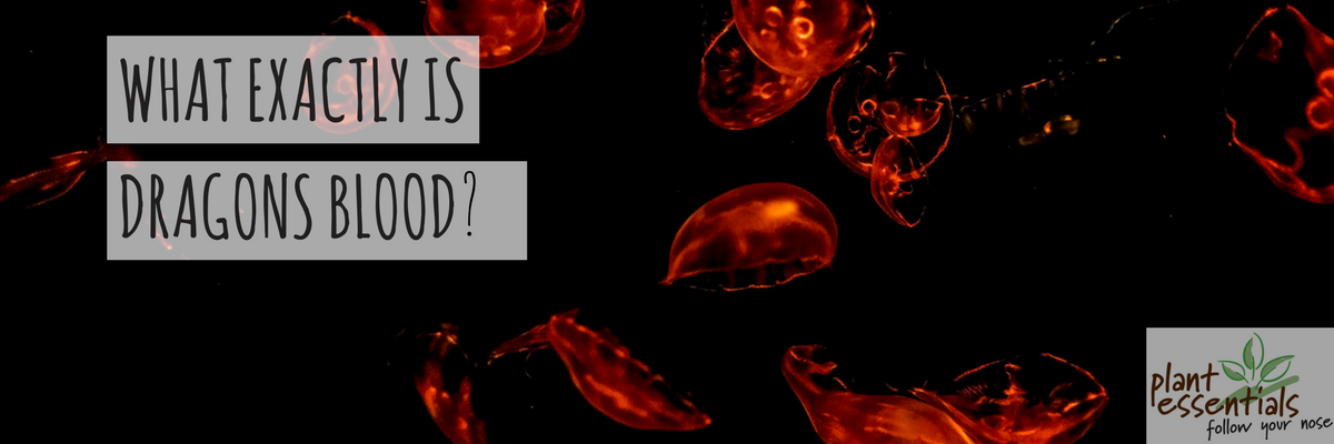 What Exactly Is Dragons Blood?