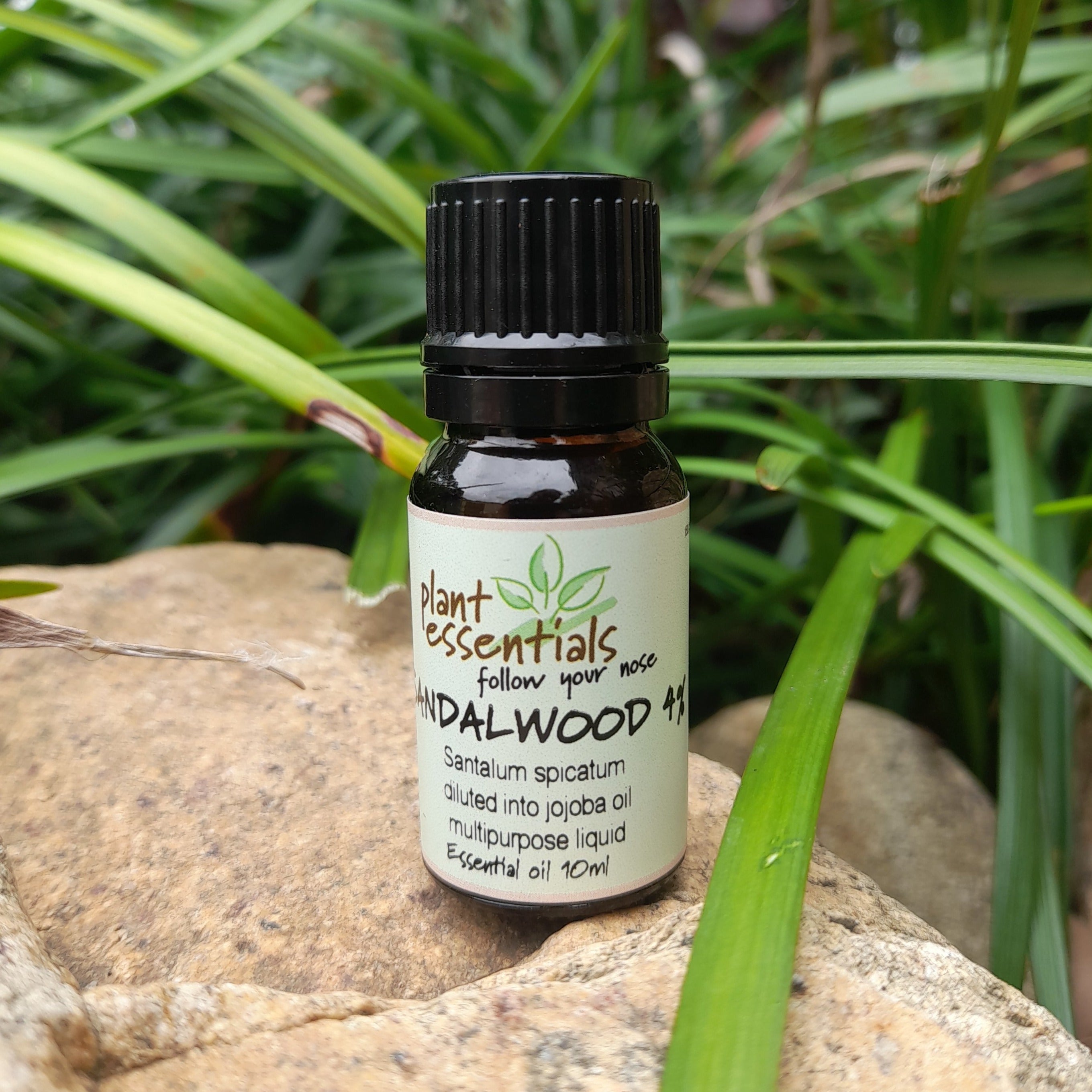 Sandalwood Essential Oil