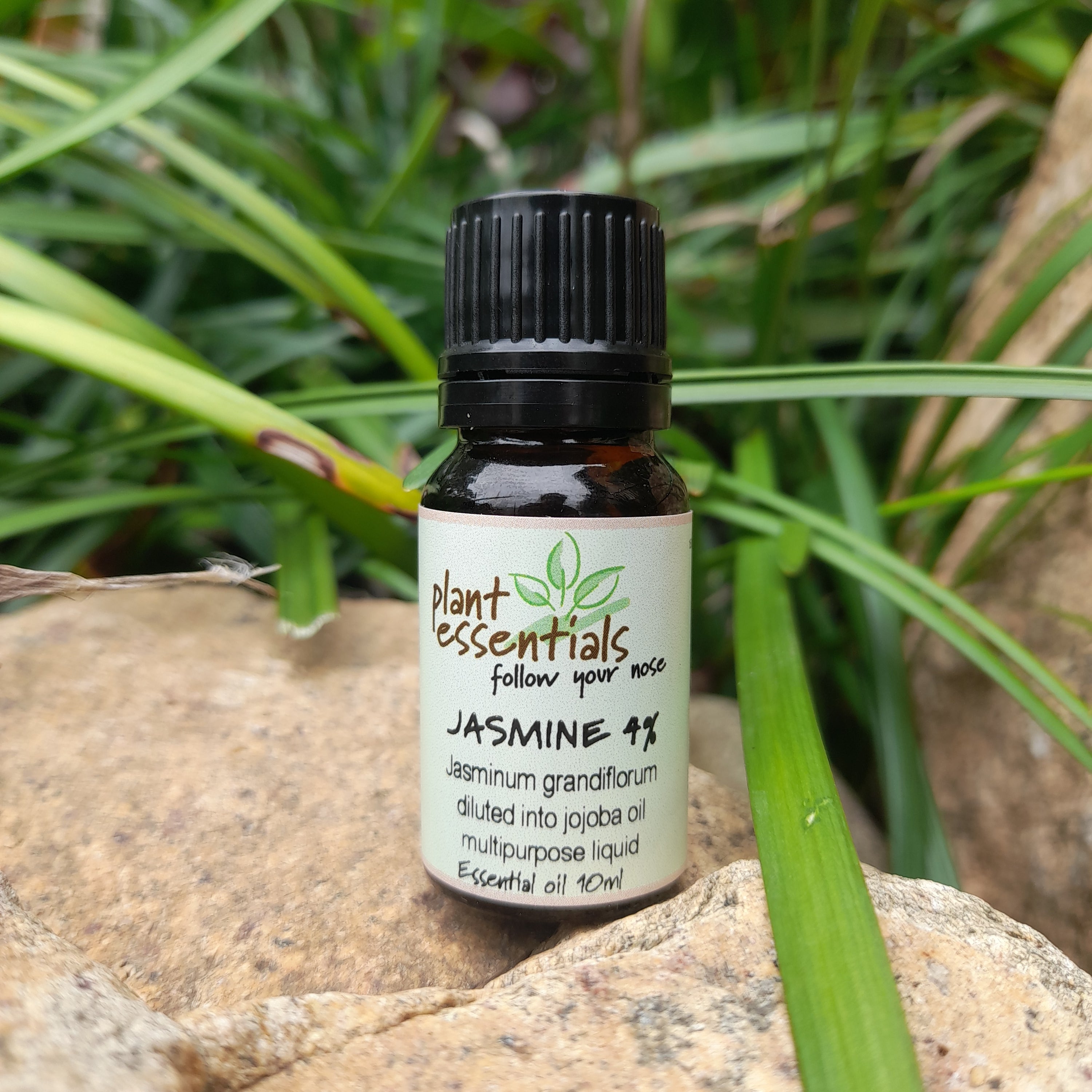 Jasmine Essential Oil