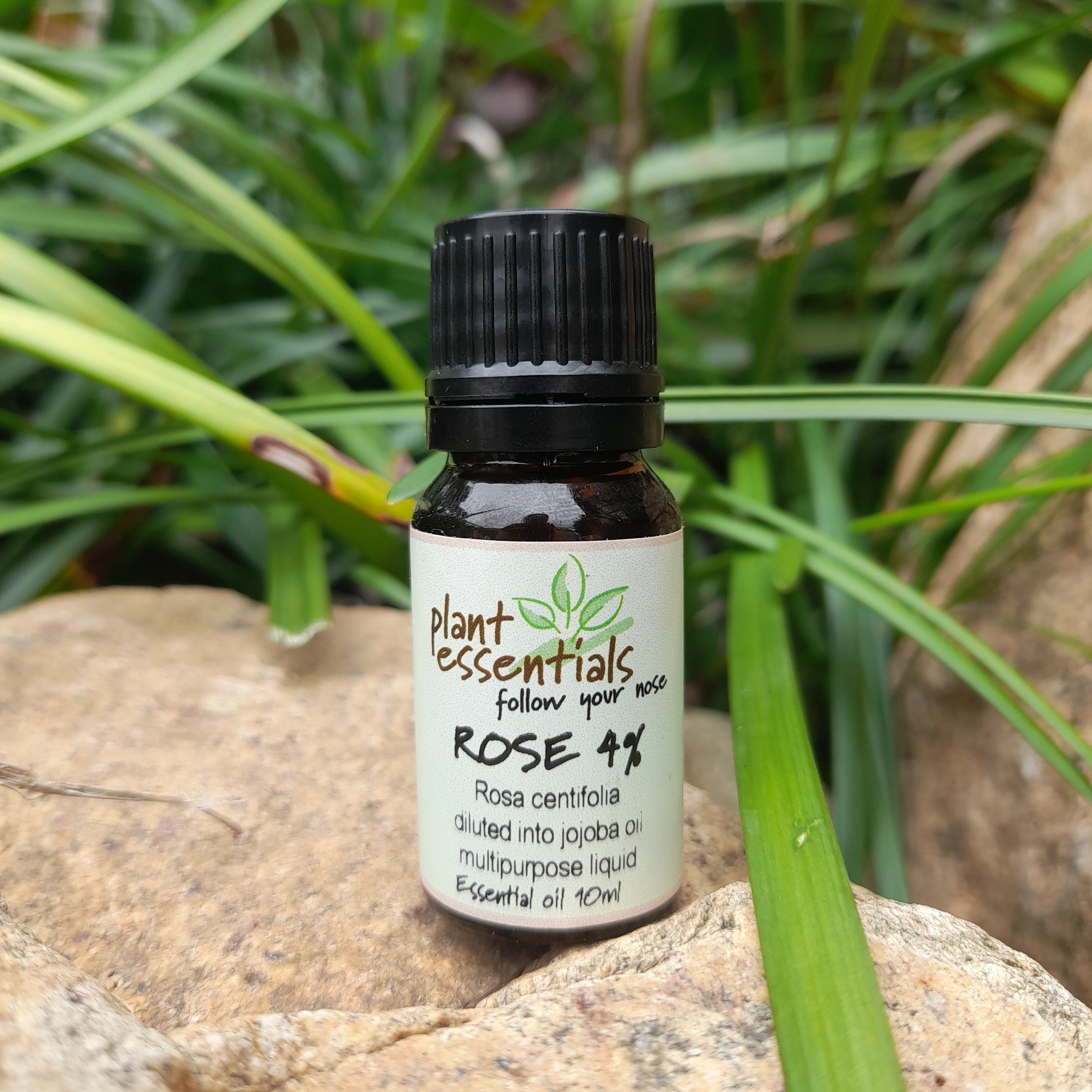 Rose Essential Oil