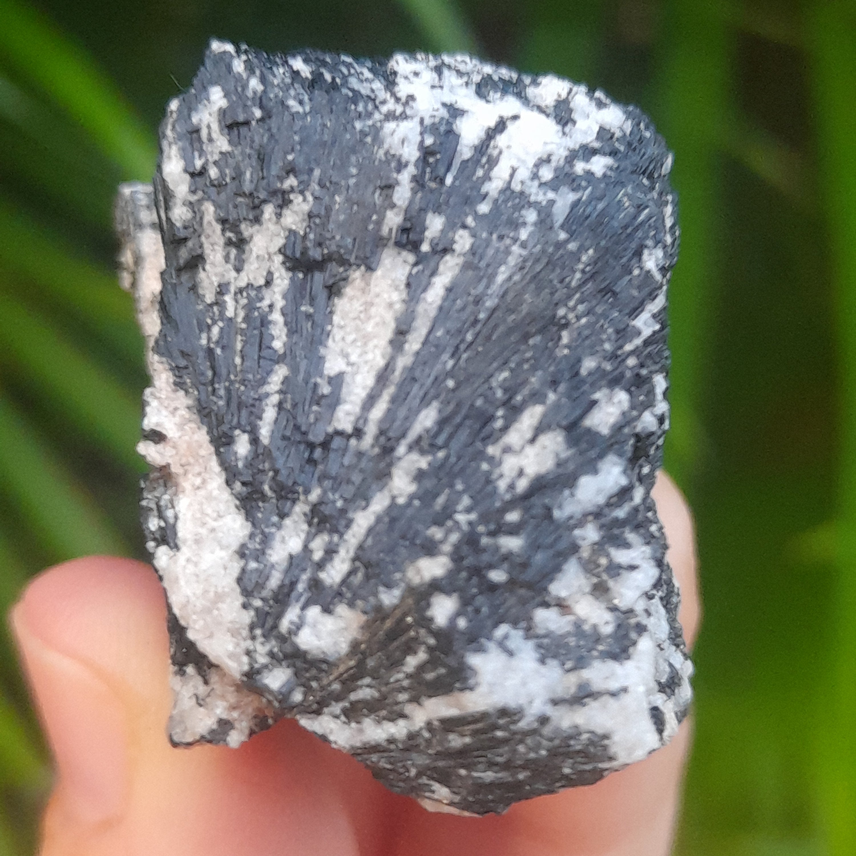 Black Tourmaline, Australia