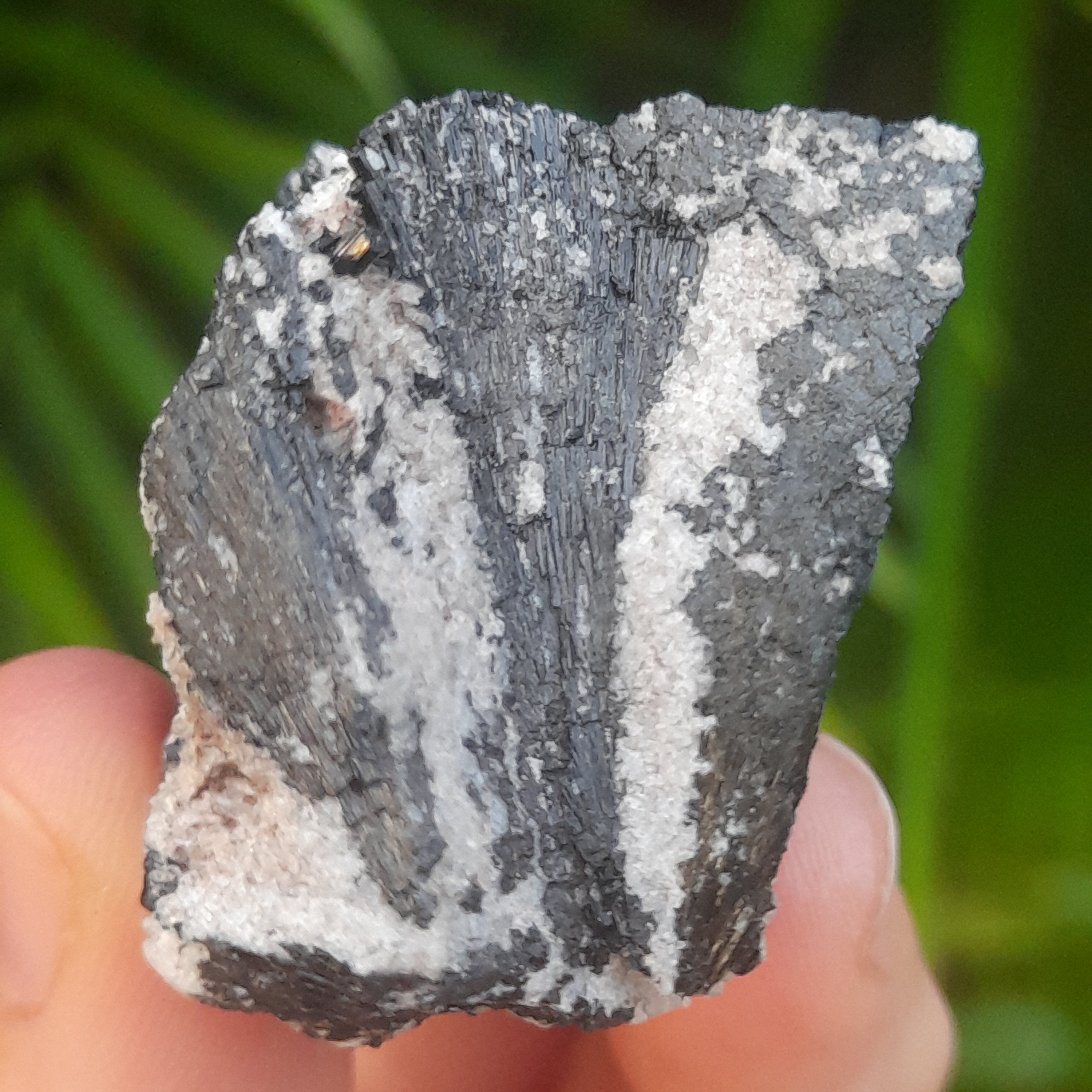 Black Tourmaline, Australia