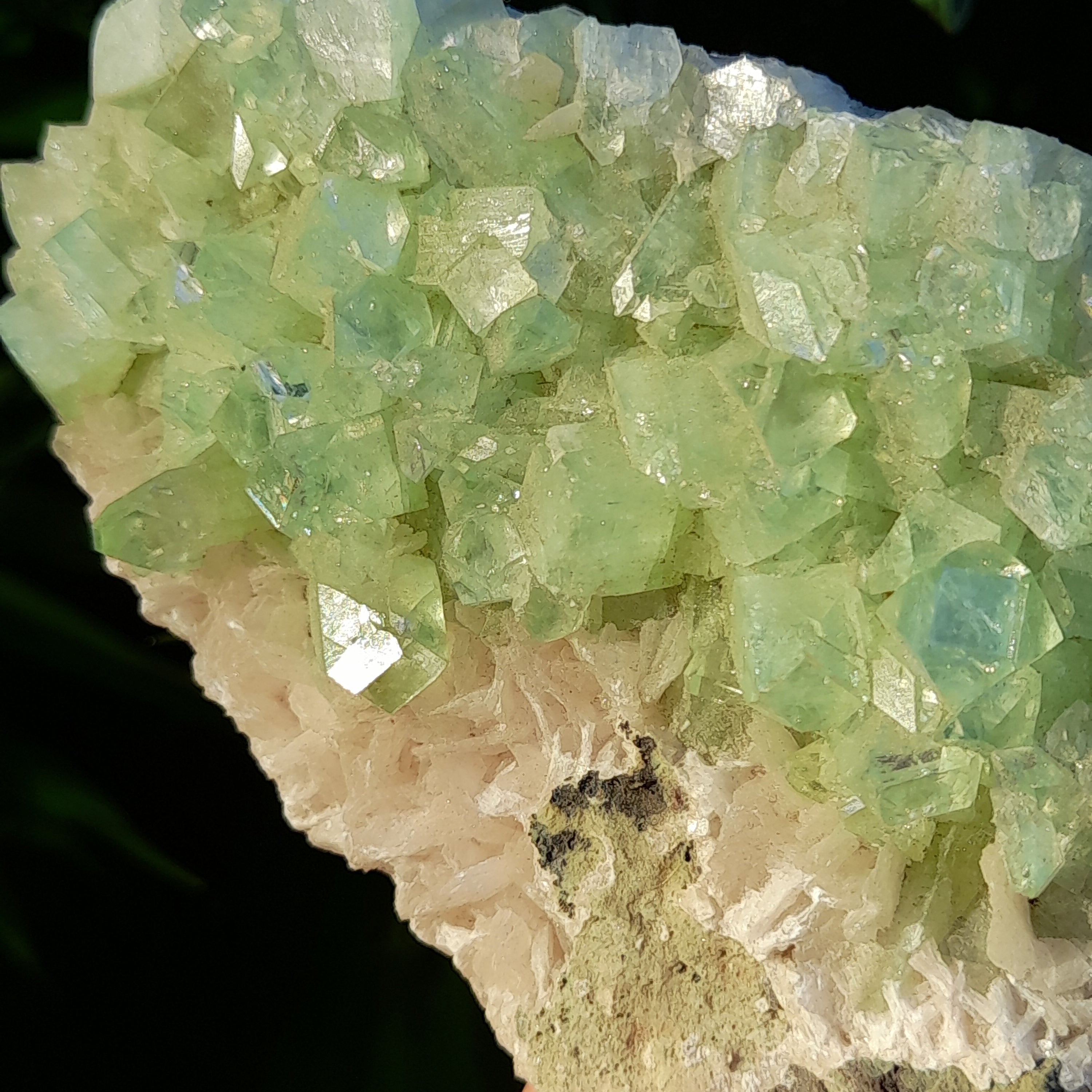 Green Apophyllite